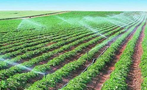 能看逼逼农田高 效节水灌溉